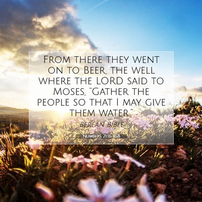 Picture 07 - Numbers 21:16 BSB - From there they went on to Beer, the well where - Bible Verse Picture