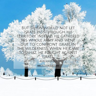 Picture 07 - Numbers 21:23 BSB - But Sihon would not let Israel pass through his - Bible Verse Picture