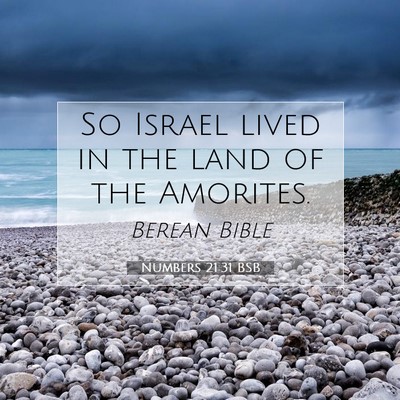 Picture 07 - Numbers 21:31 BSB - So Israel lived in the land of the - Bible Verse Picture