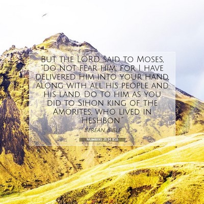Picture 07 - Numbers 21:34 BSB - But the LORD said to Moses, “Do not fear him, - Bible Verse Picture