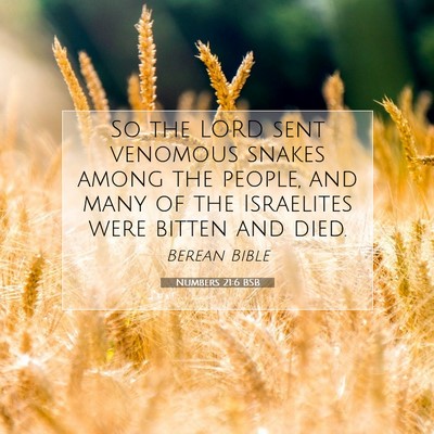 Picture 07 - Numbers 21:6 BSB - So the LORD sent venomous snakes among the - Bible Verse Picture