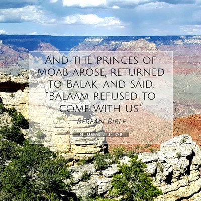 Picture 07 - Numbers 22:14 BSB - And the princes of Moab arose, returned to Balak, - Bible Verse Picture