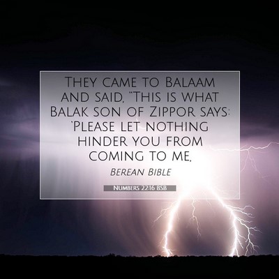 Picture 07 - Numbers 22:16 BSB - They came to Balaam and said, “This is what - Bible Verse Picture