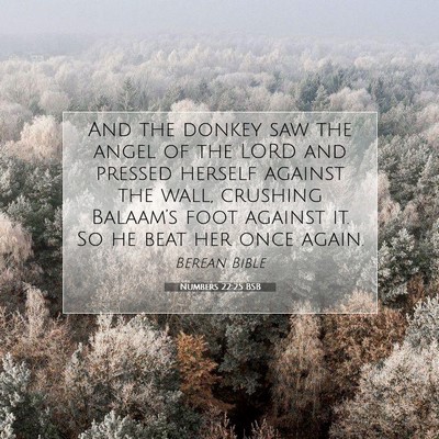 Picture 07 - Numbers 22:25 BSB - And the donkey saw the angel of the LORD and - Bible Verse Picture