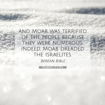 Picture 07 - Numbers 22:3 BSB - and Moab was terrified of the people because they - Bible Verse Picture