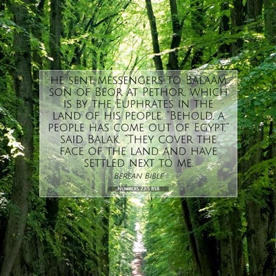 Picture 07 - Numbers 22:5 BSB - he sent messengers to Balaam son of Beor at - Bible Verse Picture