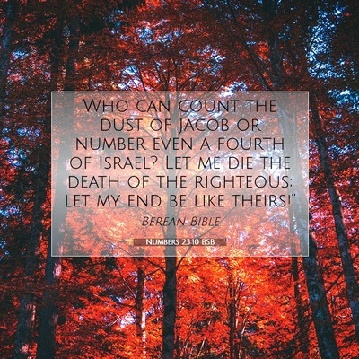 Picture 07 - Numbers 23:10 BSB - Who can count the dust of Jacob or number even a - Bible Verse Picture