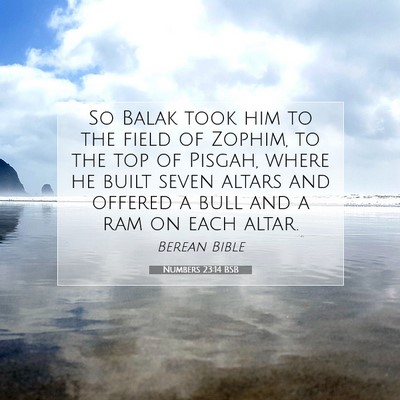 Picture 07 - Numbers 23:14 BSB - So Balak took him to the field of Zophim, to the - Bible Verse Picture
