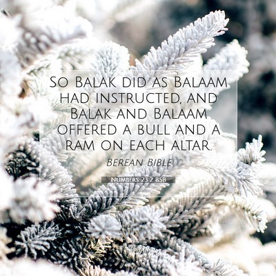 Picture 07 - Numbers 23:2 BSB - So Balak did as Balaam had instructed, and Balak - Bible Verse Picture