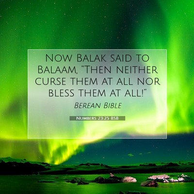 Picture 07 - Numbers 23:25 BSB - Now Balak said to Balaam, “Then neither curse - Bible Verse Picture