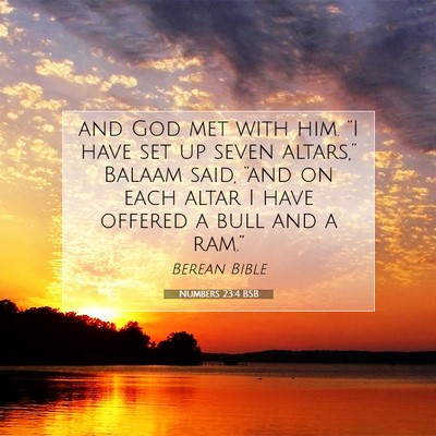 Picture 07 - Numbers 23:4 BSB - and God met with him. “I have set up seven - Bible Verse Picture