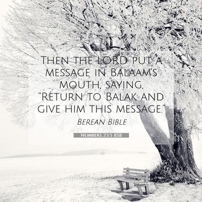 Picture 07 - Numbers 23:5 BSB - Then the LORD put a message in Balaam’s mouth, - Bible Verse Picture