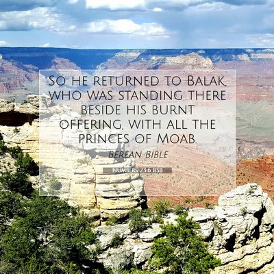 Picture 07 - Numbers 23:6 BSB - So he returned to Balak, who was standing there - Bible Verse Picture