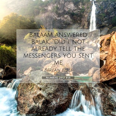 Picture 07 - Numbers 24:12 BSB - Balaam answered Balak, “Did I not already tell - Bible Verse Picture