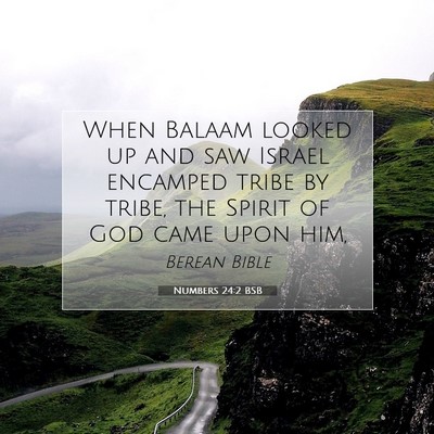 Picture 07 - Numbers 24:2 BSB - When Balaam looked up and saw Israel encamped - Bible Verse Picture