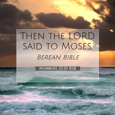 Picture 07 - Numbers 25:10 BSB - Then the LORD said to - Bible Verse Picture