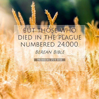 Picture 07 - Numbers 25:9 BSB - but those who died in the plague numbered - Bible Verse Picture