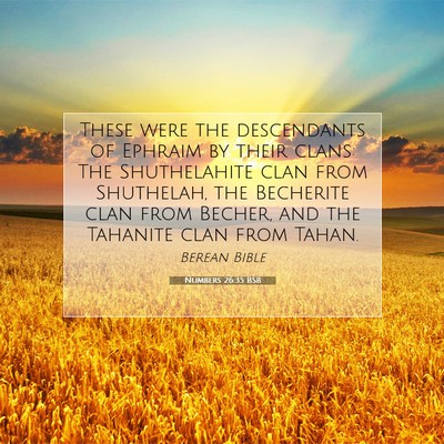 Picture 07 - Numbers 26:35 BSB - These were the descendants of Ephraim by their - Bible Verse Picture