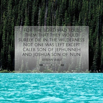 Picture 07 - Numbers 26:65 BSB - For the LORD had told them that they would surely - Bible Verse Picture