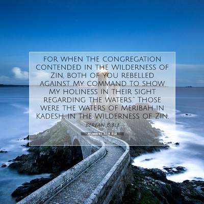 Picture 07 - Numbers 27:14 BSB - for when the congregation contended in the - Bible Verse Picture