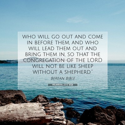 Picture 07 - Numbers 27:17 BSB - who will go out and come in before them, and who - Bible Verse Picture