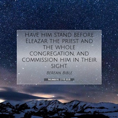 Picture 07 - Numbers 27:19 BSB - Have him stand before Eleazar the priest and the - Bible Verse Picture
