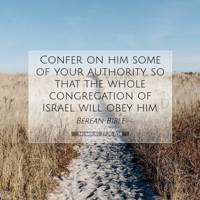 Picture 07 - Numbers 27:20 BSB - Confer on him some of your authority, so that the - Bible Verse Picture