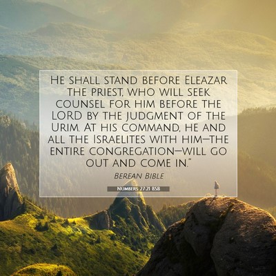 Picture 07 - Numbers 27:21 BSB - He shall stand before Eleazar the priest, who - Bible Verse Picture