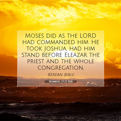 Picture 07 - Numbers 27:22 BSB - Moses did as the LORD had commanded him. He took - Bible Verse Picture