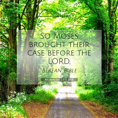 Picture 07 - Numbers 27:5 BSB - So Moses brought their case before the - Bible Verse Picture