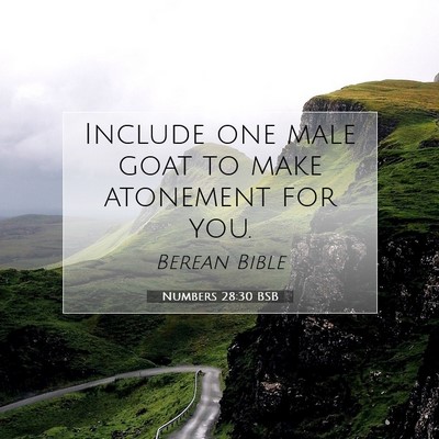 Picture 07 - Numbers 28:30 BSB - Include one male goat to make atonement for - Bible Verse Picture