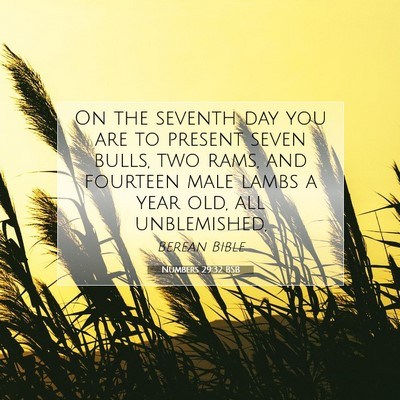 Picture 07 - Numbers 29:32 BSB - On the seventh day you are to present seven - Bible Verse Picture