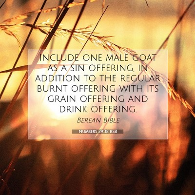 Picture 07 - Numbers 29:38 BSB - Include one male goat as a sin offering, in - Bible Verse Picture