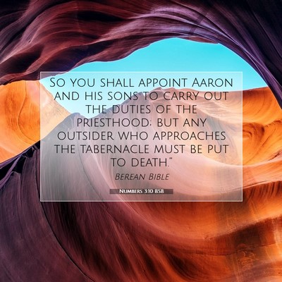 Picture 07 - Numbers 3:10 BSB - So you shall appoint Aaron and his sons to carry - Bible Verse Picture