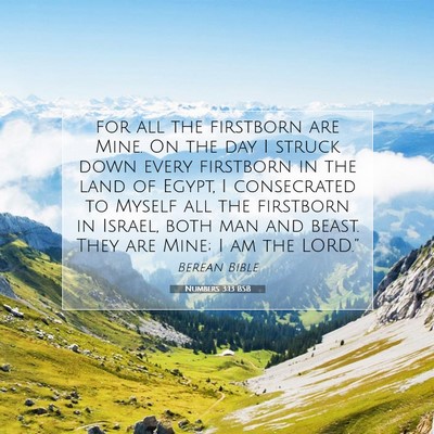Picture 07 - Numbers 3:13 BSB - for all the firstborn are Mine. On the day I - Bible Verse Picture