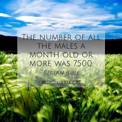 Picture 07 - Numbers 3:22 BSB - The number of all the males a month old or more - Bible Verse Picture