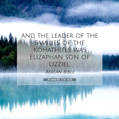 Picture 07 - Numbers 3:30 BSB - and the leader of the families of the Kohathites - Bible Verse Picture