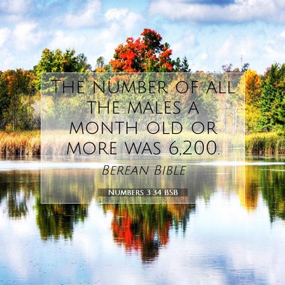 Picture 07 - Numbers 3:34 BSB - The number of all the males a month old or more - Bible Verse Picture