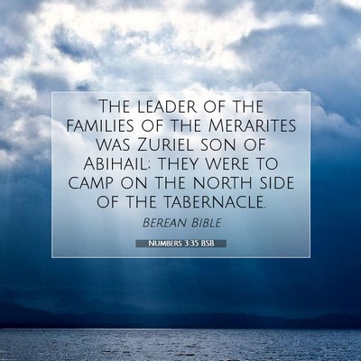 Picture 07 - Numbers 3:35 BSB - The leader of the families of the Merarites was - Bible Verse Picture