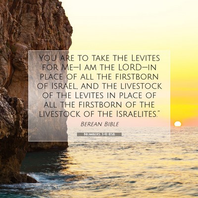 Picture 07 - Numbers 3:41 BSB - You are to take the Levites for Me—I am the - Bible Verse Picture