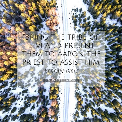 Picture 07 - Numbers 3:6 BSB - “Bring the tribe of Levi and present them to - Bible Verse Picture