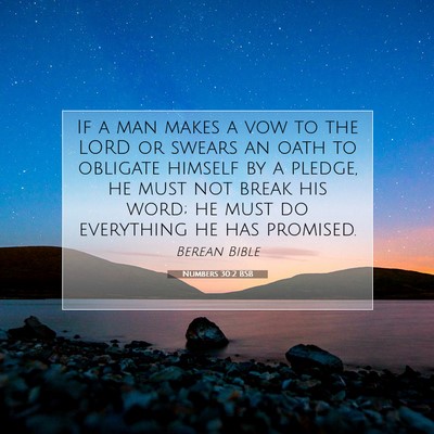 Picture 07 - Numbers 30:2 BSB - If a man makes a vow to the LORD or swears an - Bible Verse Picture