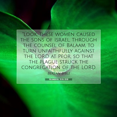 Picture 07 - Numbers 31:16 BSB - “Look, these women caused the sons of Israel, - Bible Verse Picture