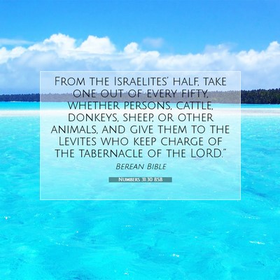 Picture 07 - Numbers 31:30 BSB - From the Israelites’ half, take one out of - Bible Verse Picture