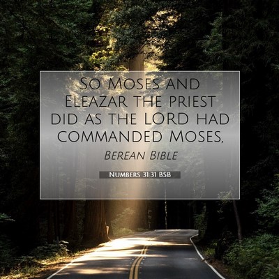 Picture 07 - Numbers 31:31 BSB - So Moses and Eleazar the priest did as the LORD - Bible Verse Picture