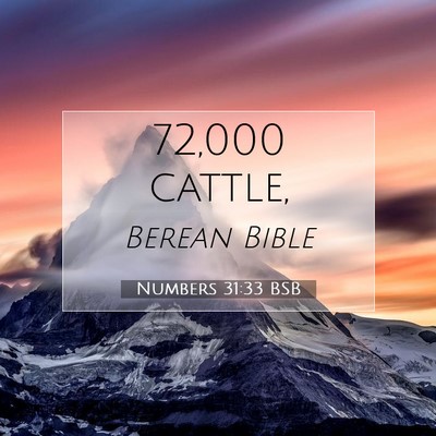 Picture 07 - Numbers 31:33 BSB - 72,000 - Bible Verse Picture
