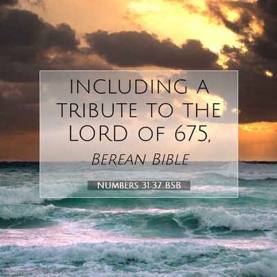 Picture 07 - Numbers 31:37 BSB - including a tribute to the LORD of - Bible Verse Picture