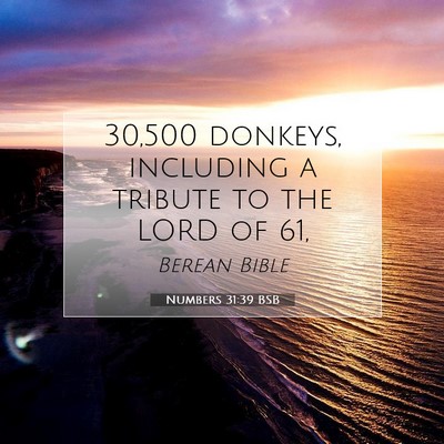 Picture 07 - Numbers 31:39 BSB - 30,500 donkeys, including a tribute to the LORD - Bible Verse Picture