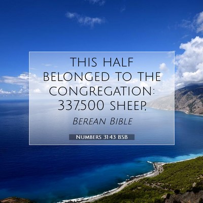 Picture 07 - Numbers 31:43 BSB - this half belonged to the congregation: 337,500 - Bible Verse Picture