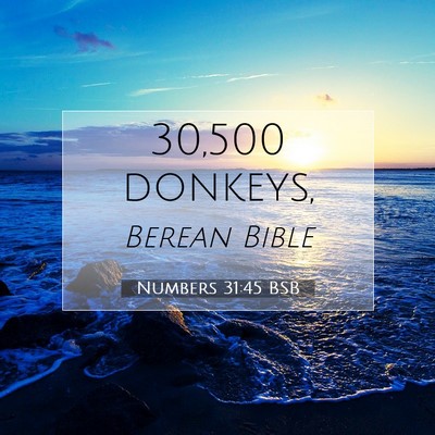 Picture 07 - Numbers 31:45 BSB - 30,500 - Bible Verse Picture